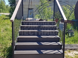 Лестница 6 ступеней с эконом перилами и поручнем ДПК